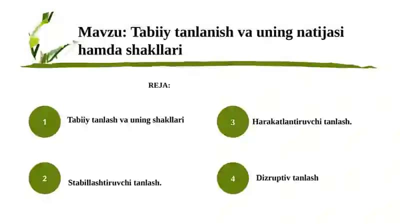 Tabiiy tanlanish va uning natijasi hamda shakllari 3