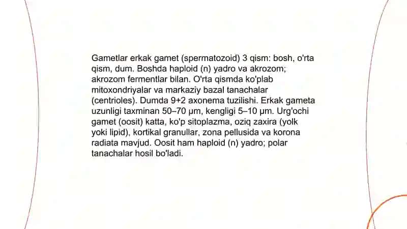 Jinsiy hujayralar tuzilishi, rivojlantirishi taraqqiyoti 3