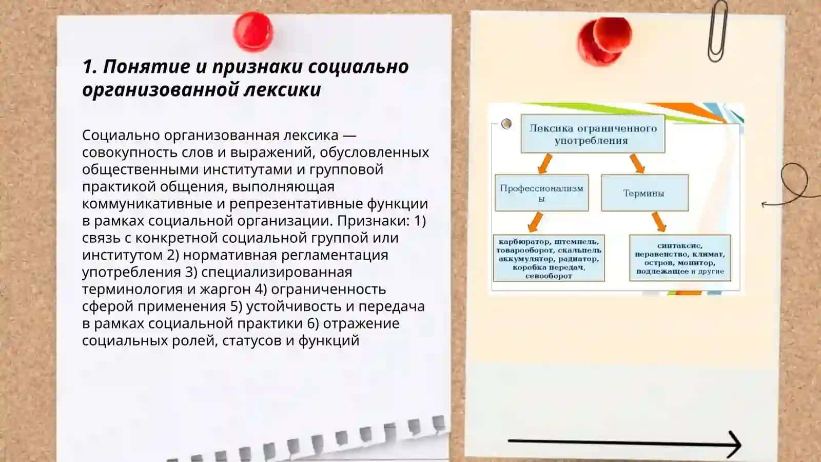 Социально органиченная лексика 3