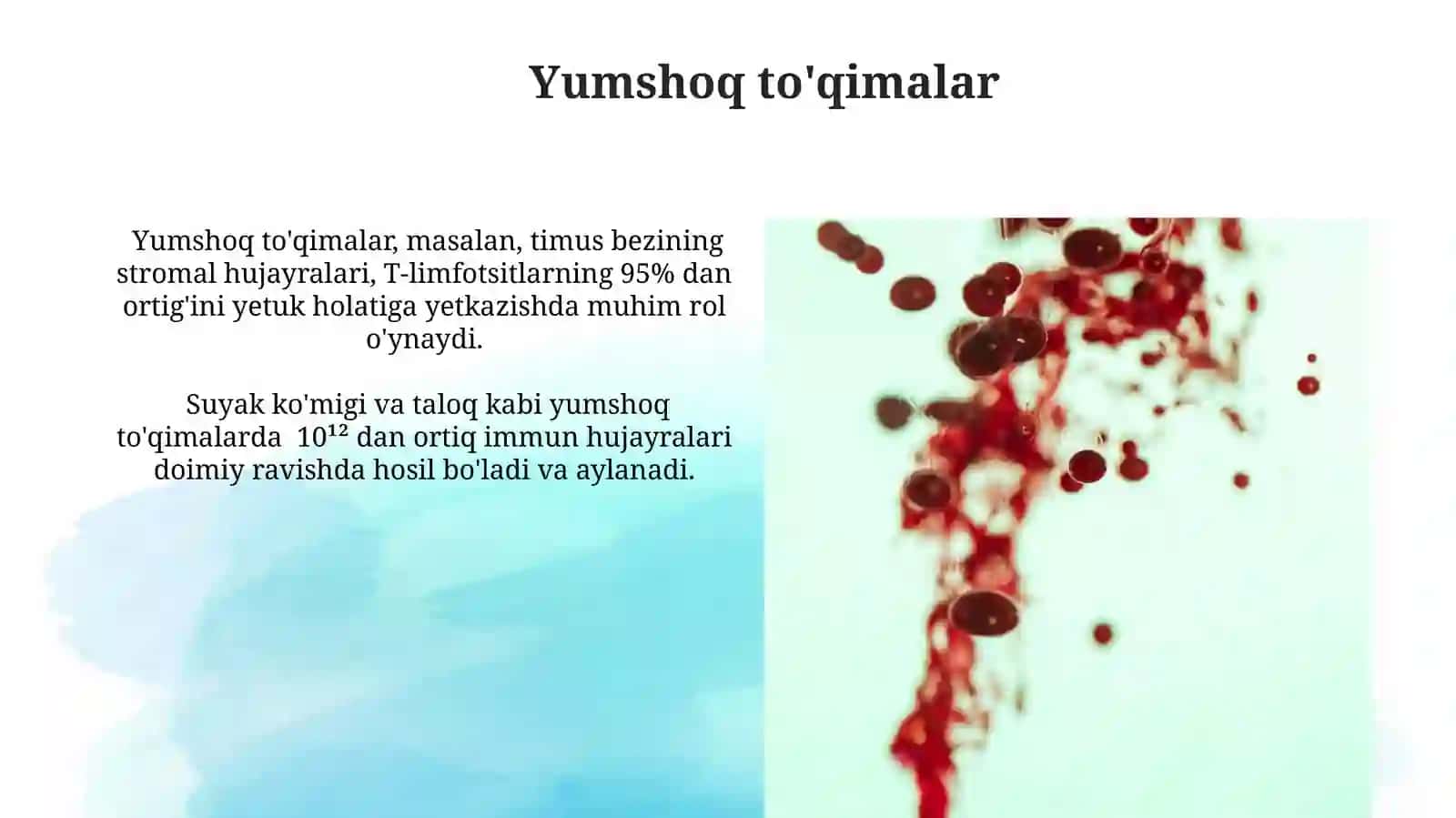 Suyak ko'migi va immun tizimi organlari 3