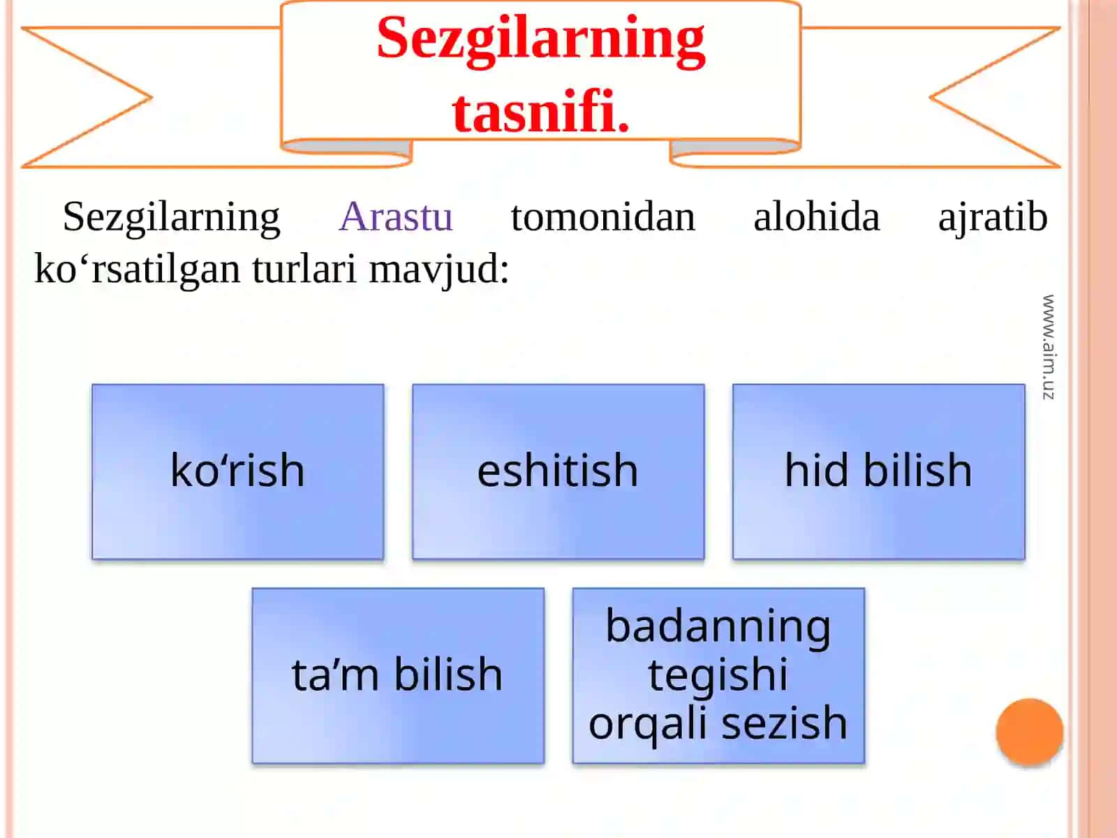 Sezgivaidrok 3