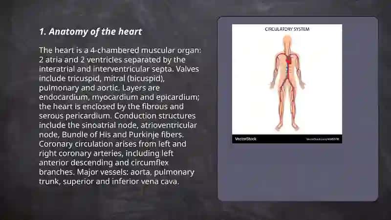 Circulatory system 3