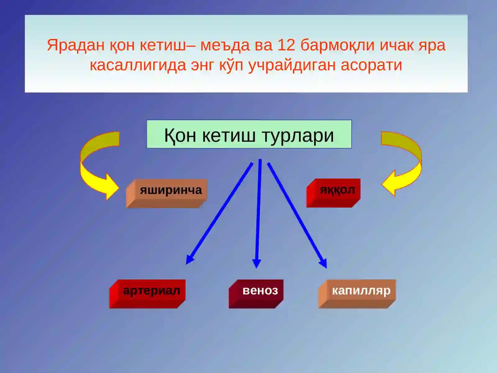 Меъда ва 12бармоқли 3