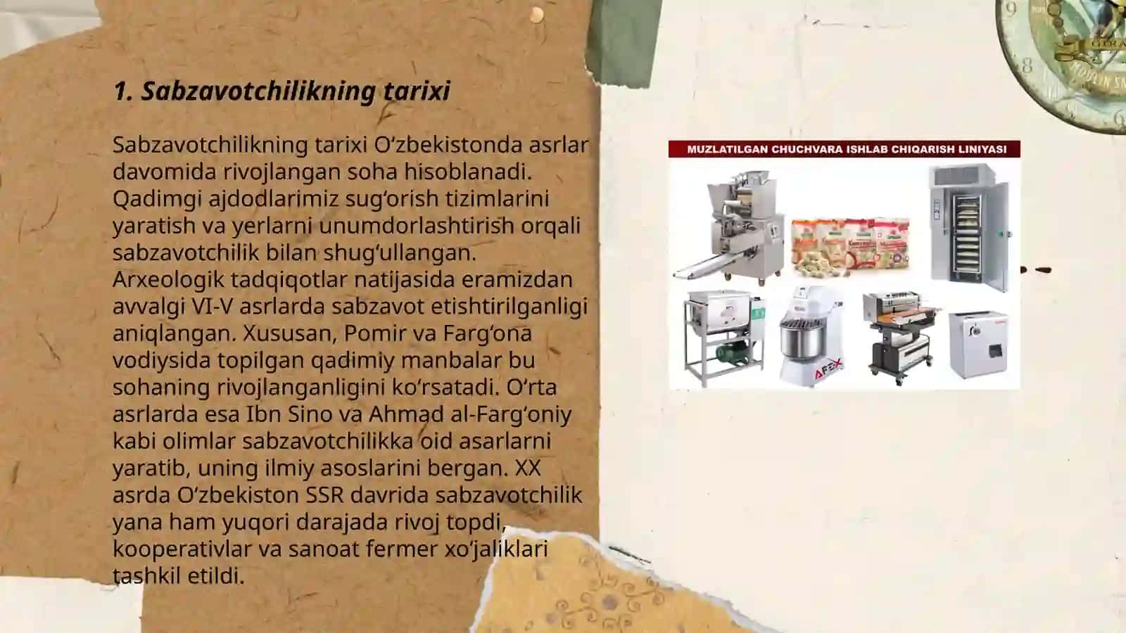 Jahon sabzavotchiligining ahamiyati va rivojlanish tarixi 3