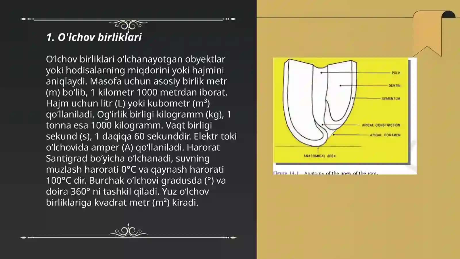 O'lchovlar 3
