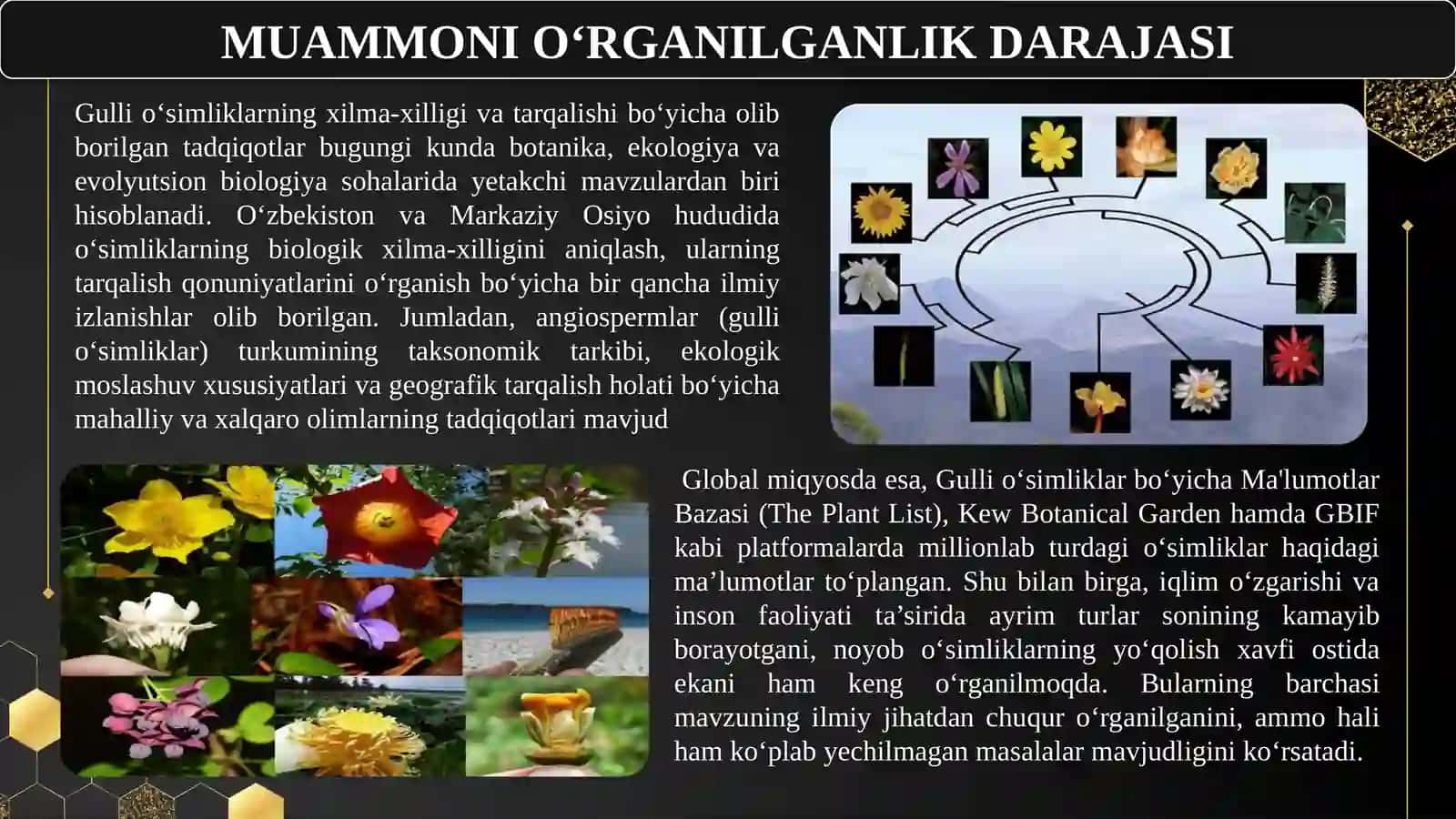 GULLI O'SIMLIKLARNING XILMA XILLIGI VA TARQALISHI 3