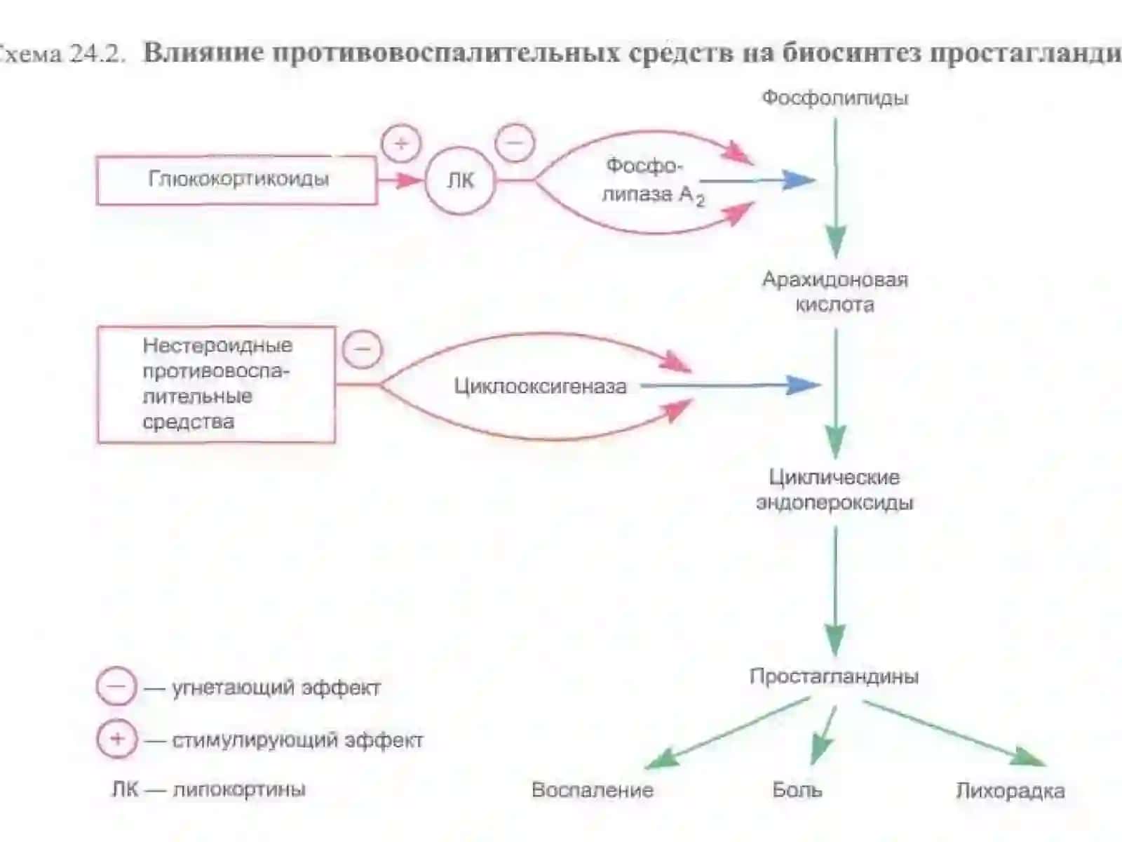 Яллигланишга карши воситалар 3