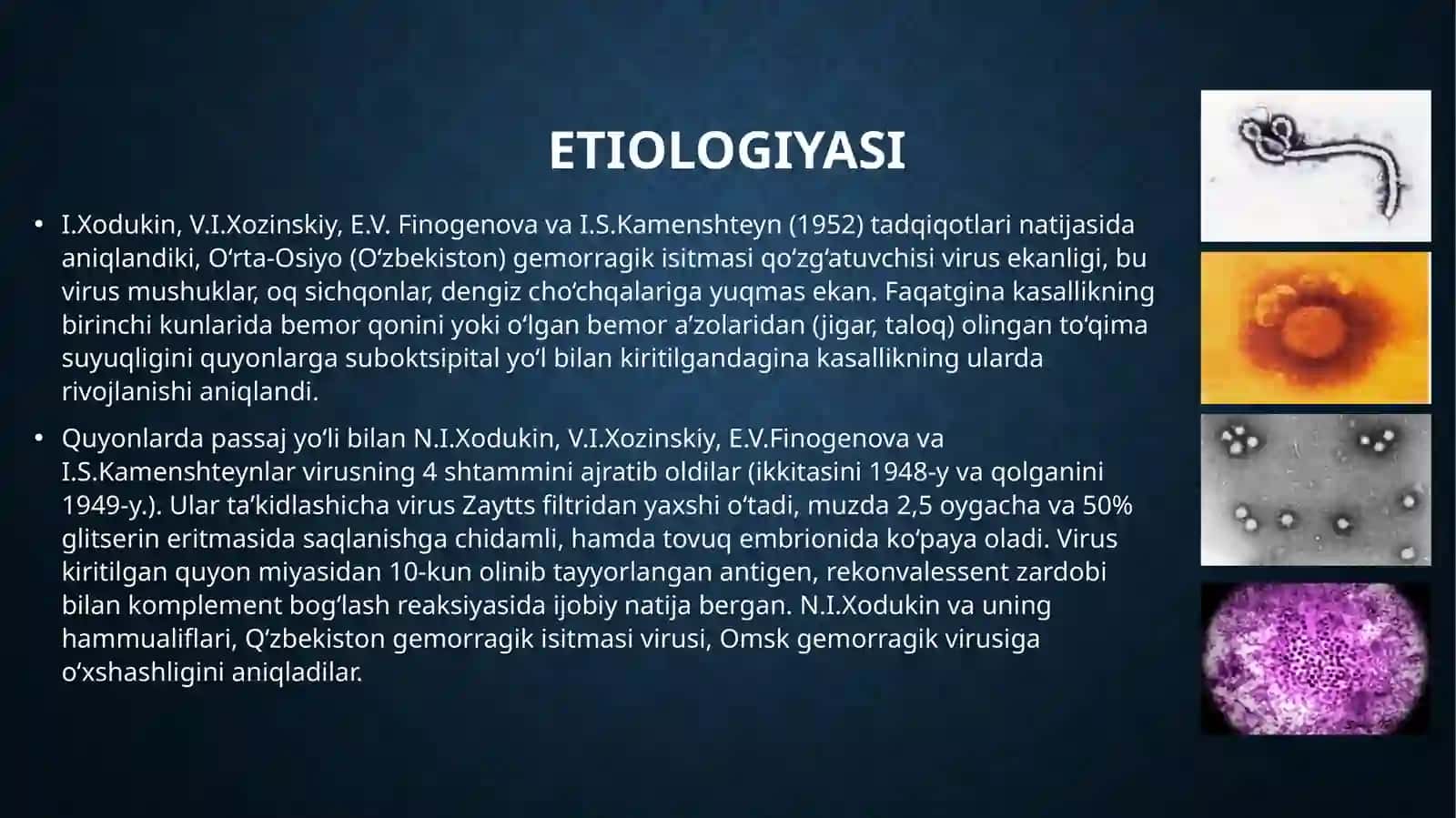 GEMORRAGIK ISITMA 3