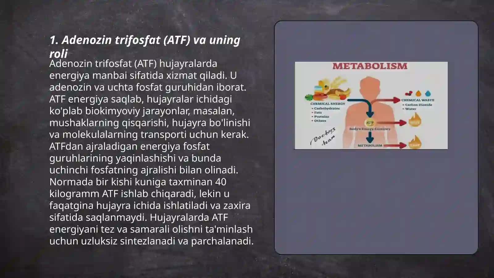 Metabolizm jarayonida energiya hosil boʻlishi va sarflanishi 3