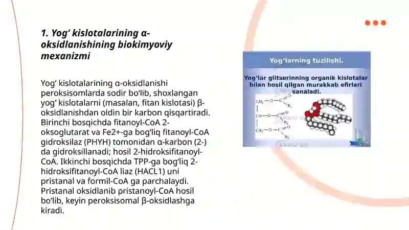 Yogʻ kislotalarini α-omega oksidlanishi, ahamiyati, buzilishlari 3