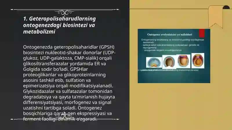 Geteropolisaharudlarni ontogenez va kasalliklarda oʻzgarishi 3