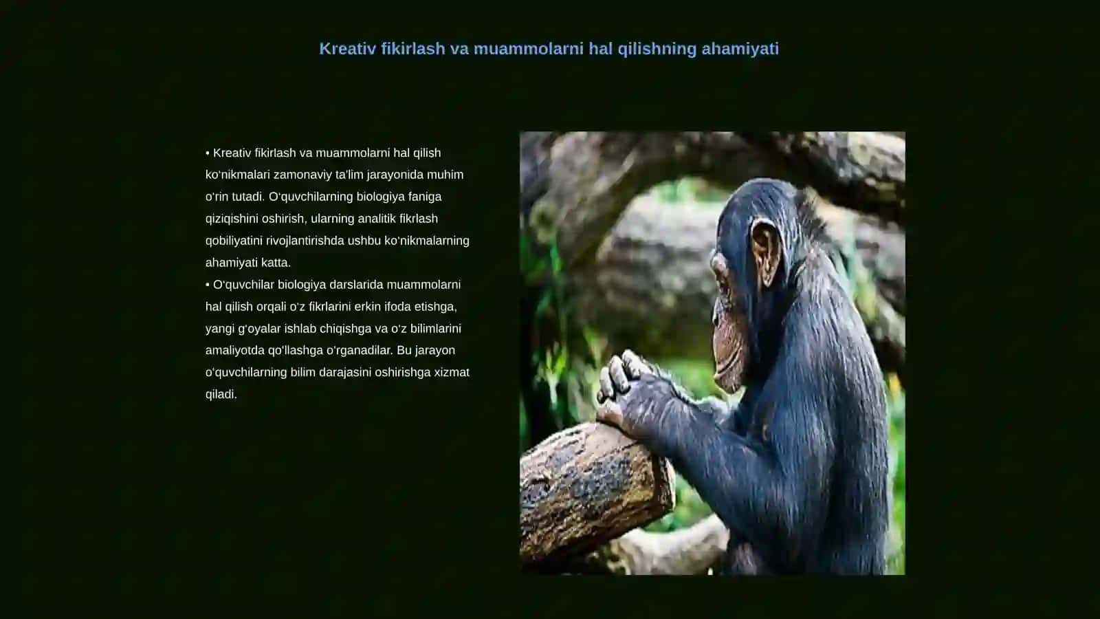 Biologiya Darslarida Kreativ Fikirlash va Muammolarni Hal Qilish Koʻnikmalarini Rivojlantirish 3
