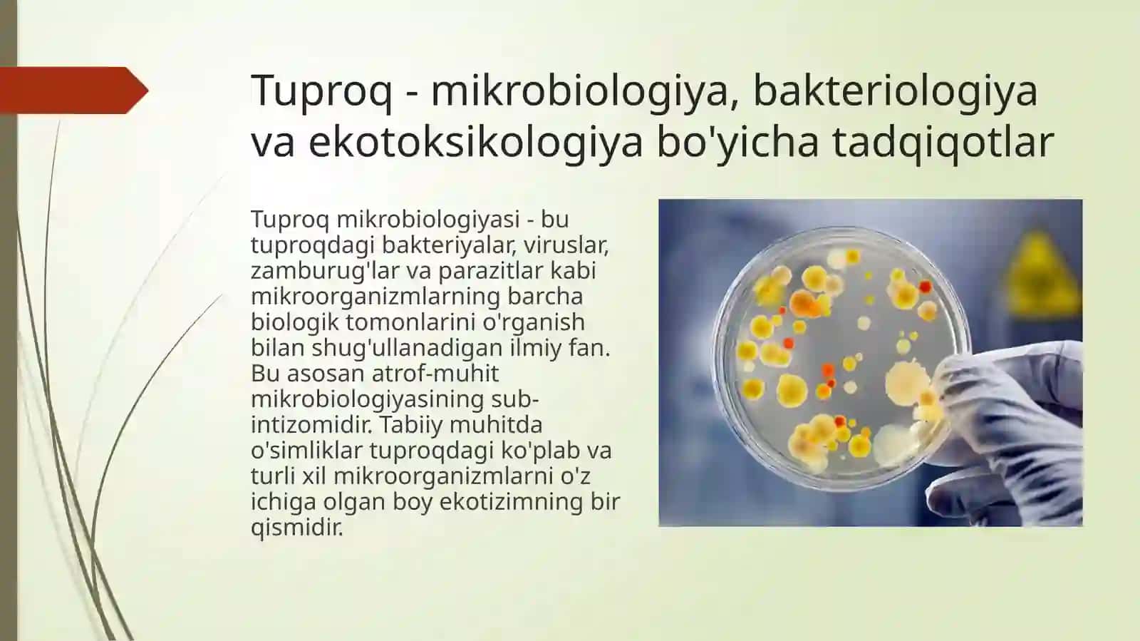 Mikrobiologiya,virusalogiyaimunalogiya 3
