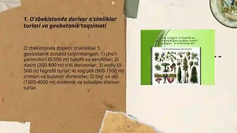 O'zbekistonda dorivor o'simliklar turlari va geobotanik taqsimoti 3