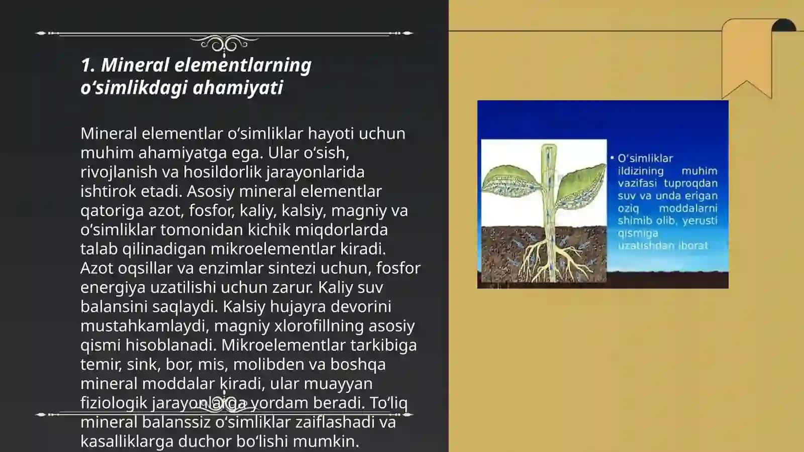 Mineral elementlarning oʻsimlik boʻylab harakati 3