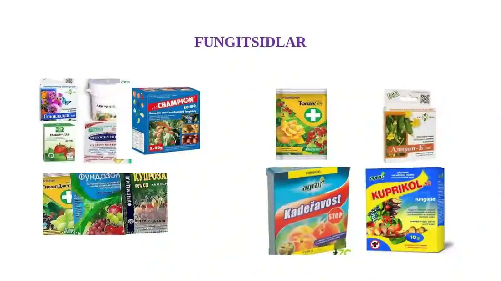 Qishloq xo‘jalik ekinlari va nometall materiallarni zamburug‘lardan himoyalovchi kimyoviy moddalar 3