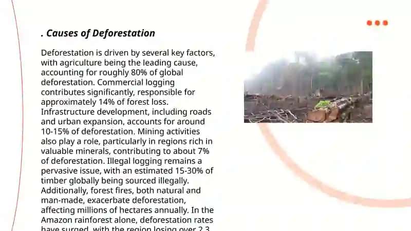 Causes of Deforestation 3