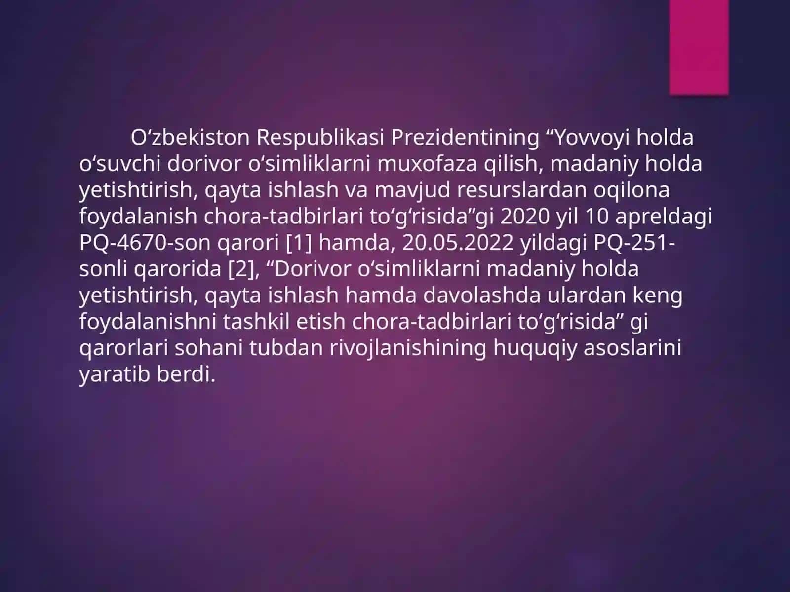 Oddiy Igir (Camelina sativa) 3