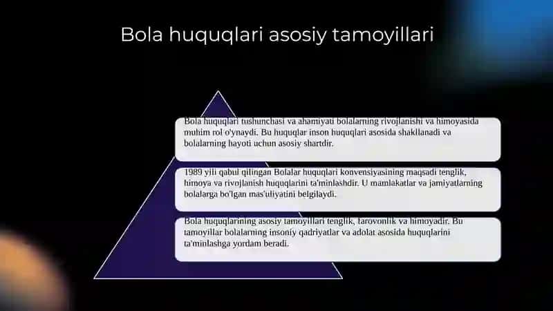 Bola huquqlari toʻgʻrisidagi konvensiyasi 3