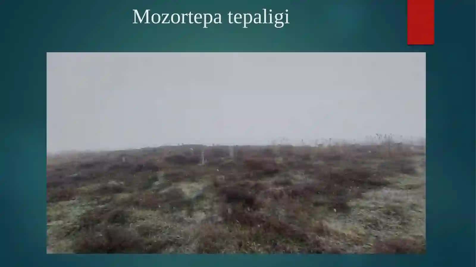 Mozortepa Tepaligi haqida 3