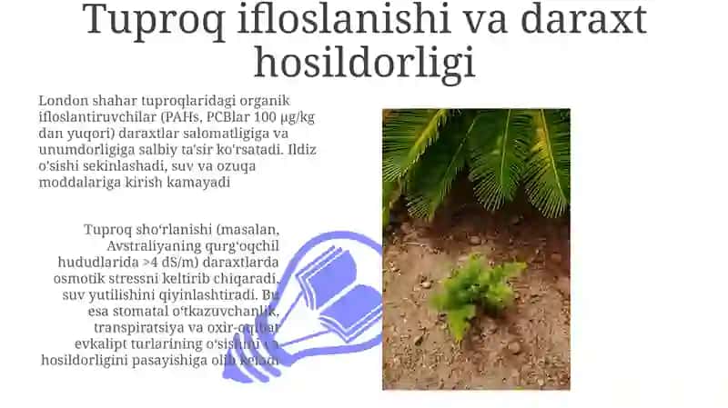 Tuproq ifloslanishi va daraxt hosildorligi 3