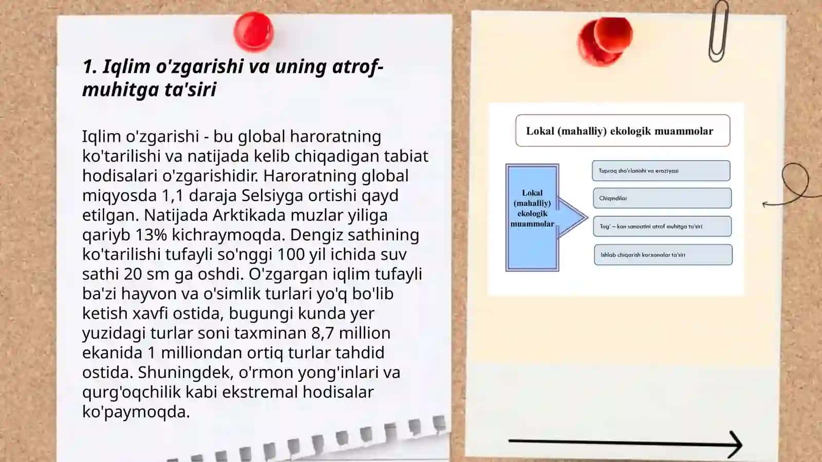 Atrof-muhitga bo‘lgan ta‘sirini baholash va ekologik oqibatlar to‘g‘risi bildirish hujjatlari 3