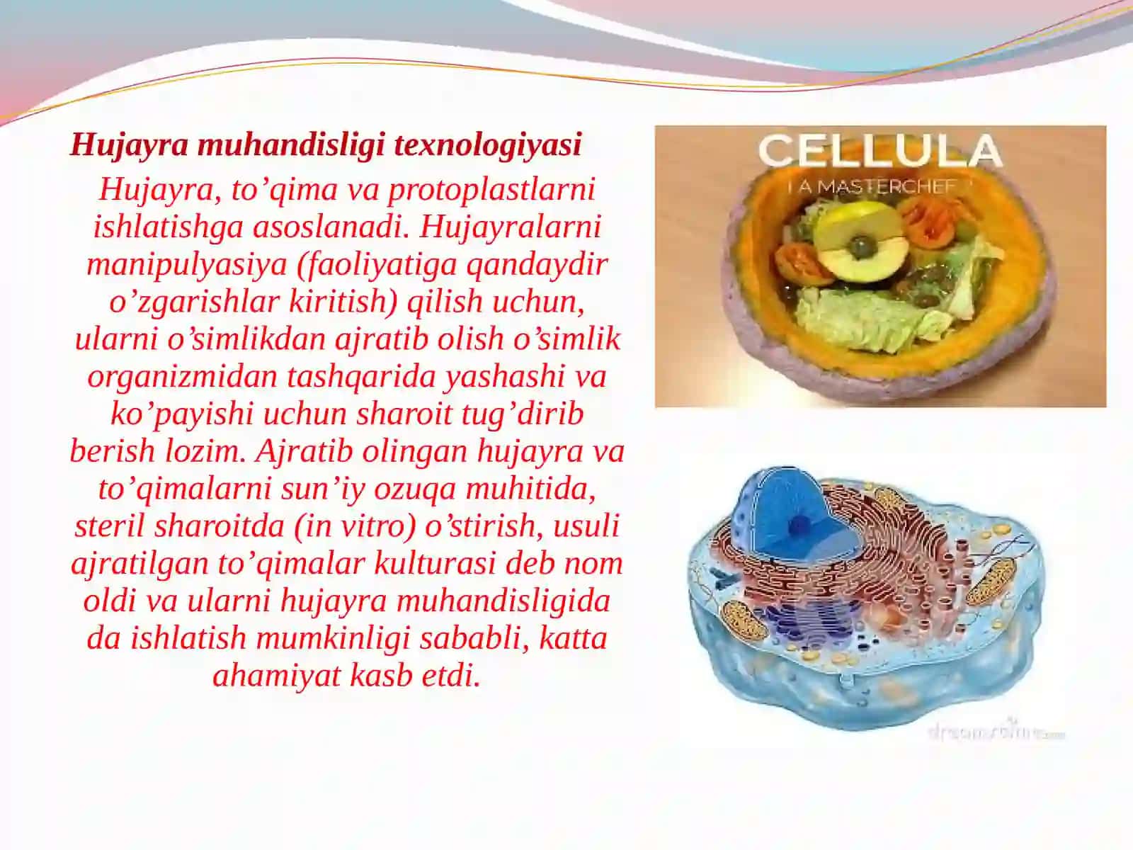 Xujayra muhandisligining mohiyati va vazifalari 3