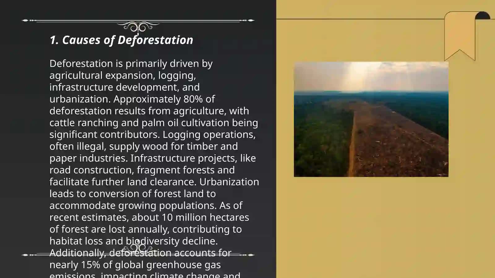 Deforestation Causes and Effects 3