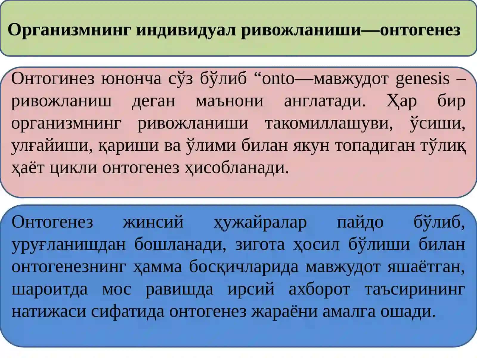 Онтогенез 3