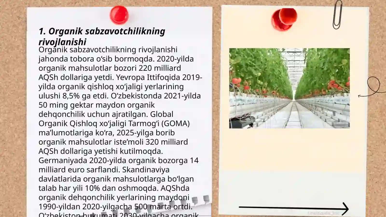 Organik sabzavotchilikning rivojlanishi 3