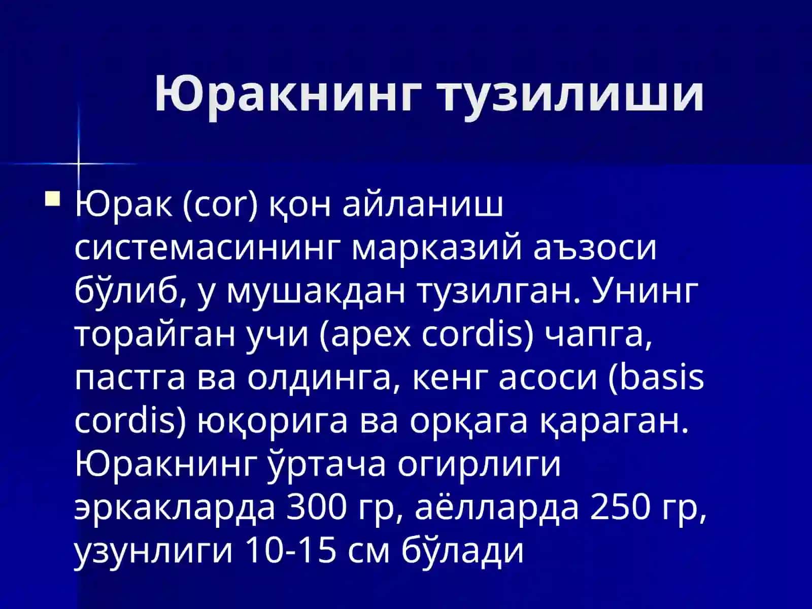 Юрак 3