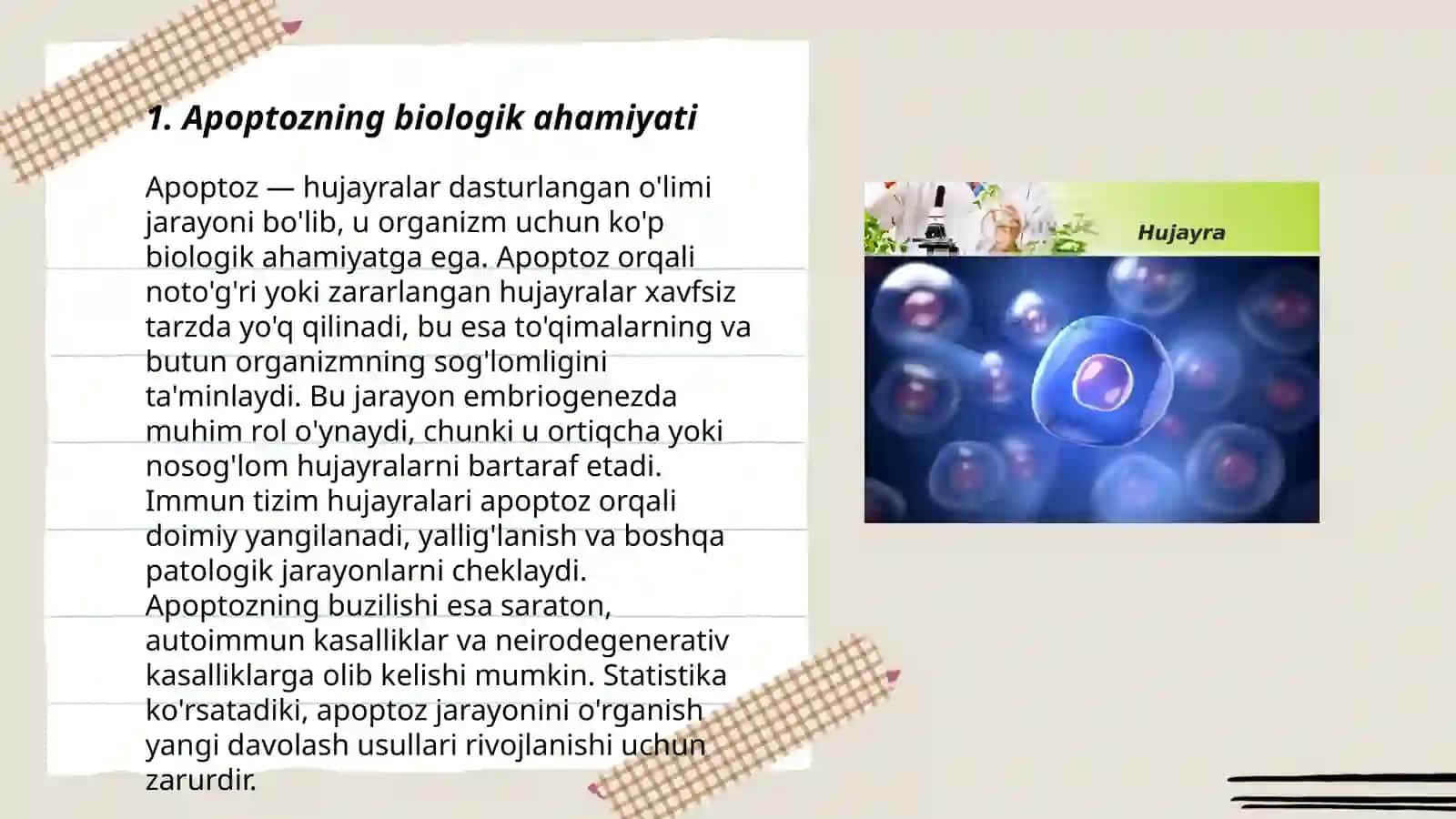 Rejalashtirilgan hujayra o'limi.Apoptoz 3