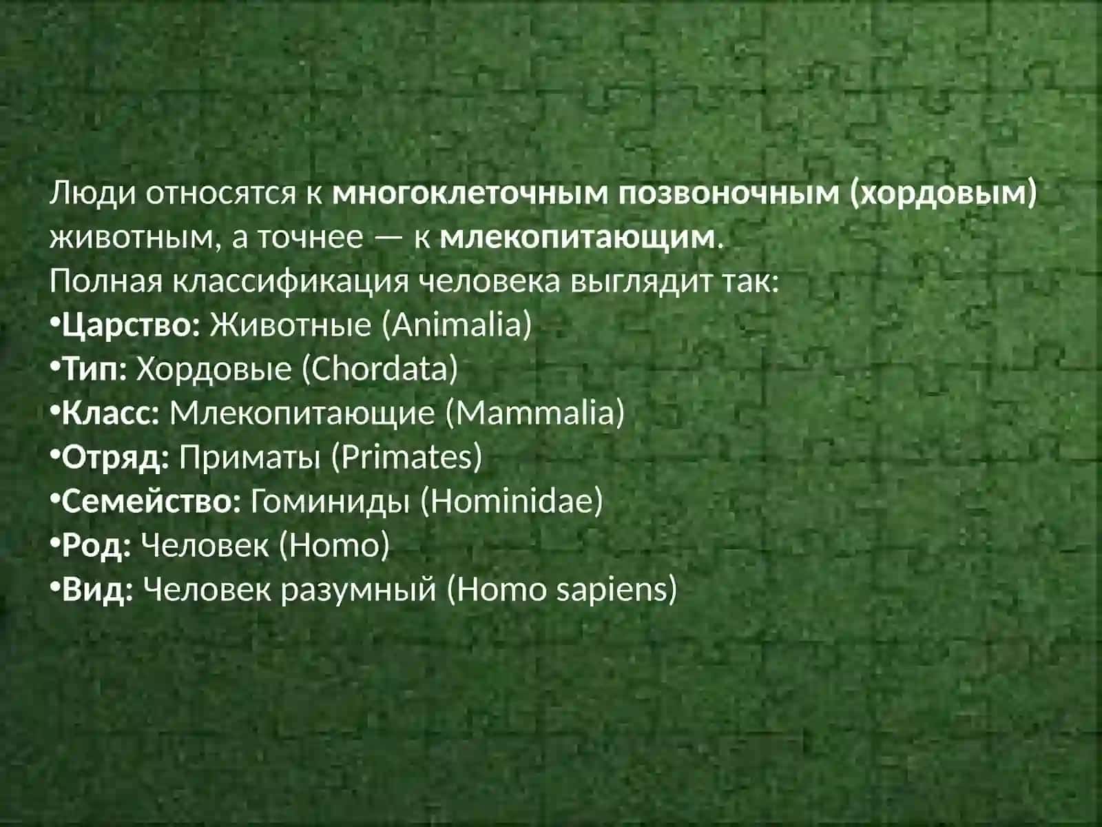 Разнообразие животного мира и его роль в природе. Красная книга 3