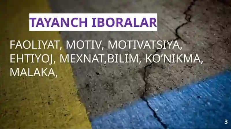 SHAXS FAOLLIGI VA IJTIMOIY XULQ MOTIVLARI 3
