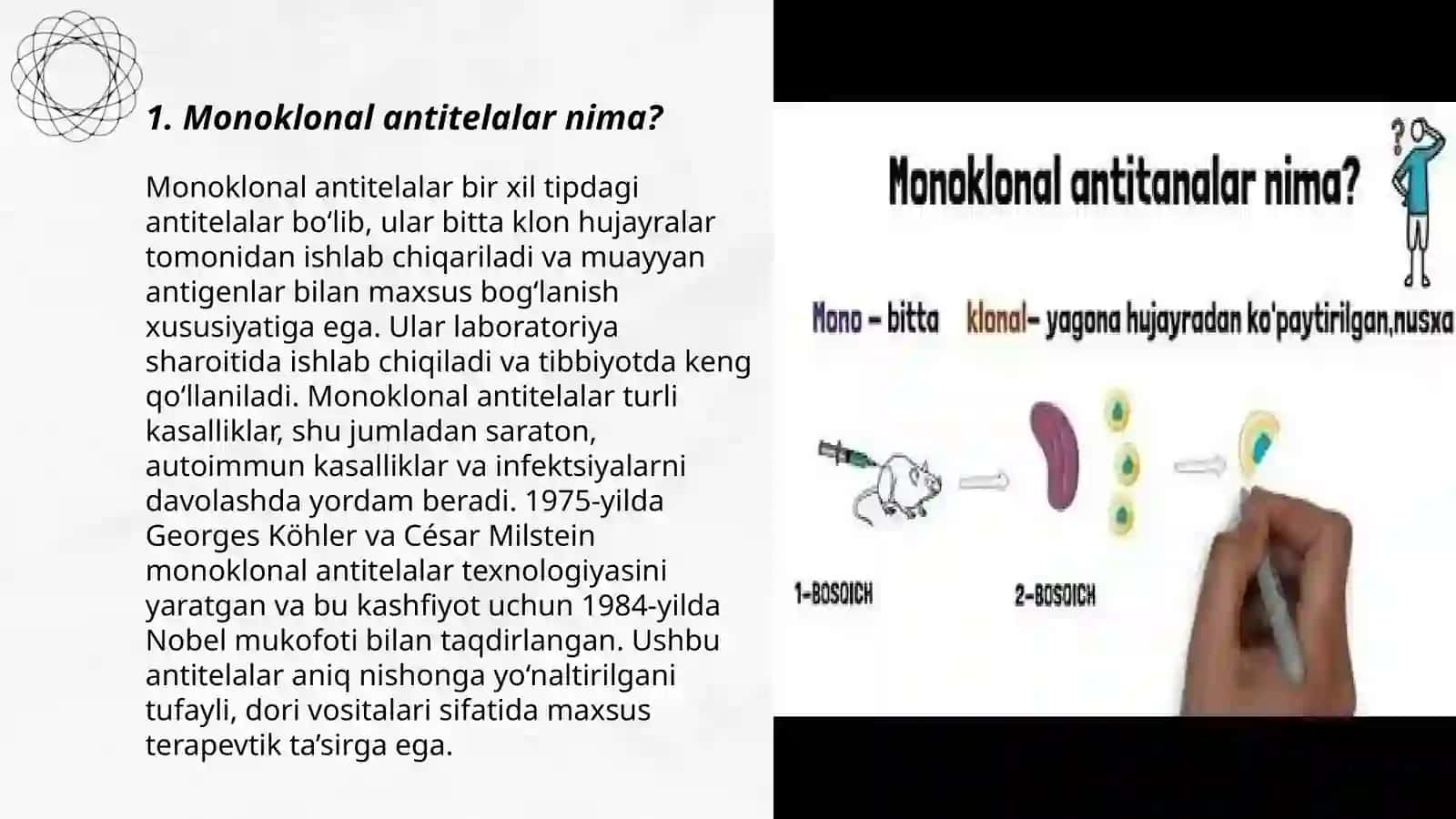 Monoklonal antitelalar 3