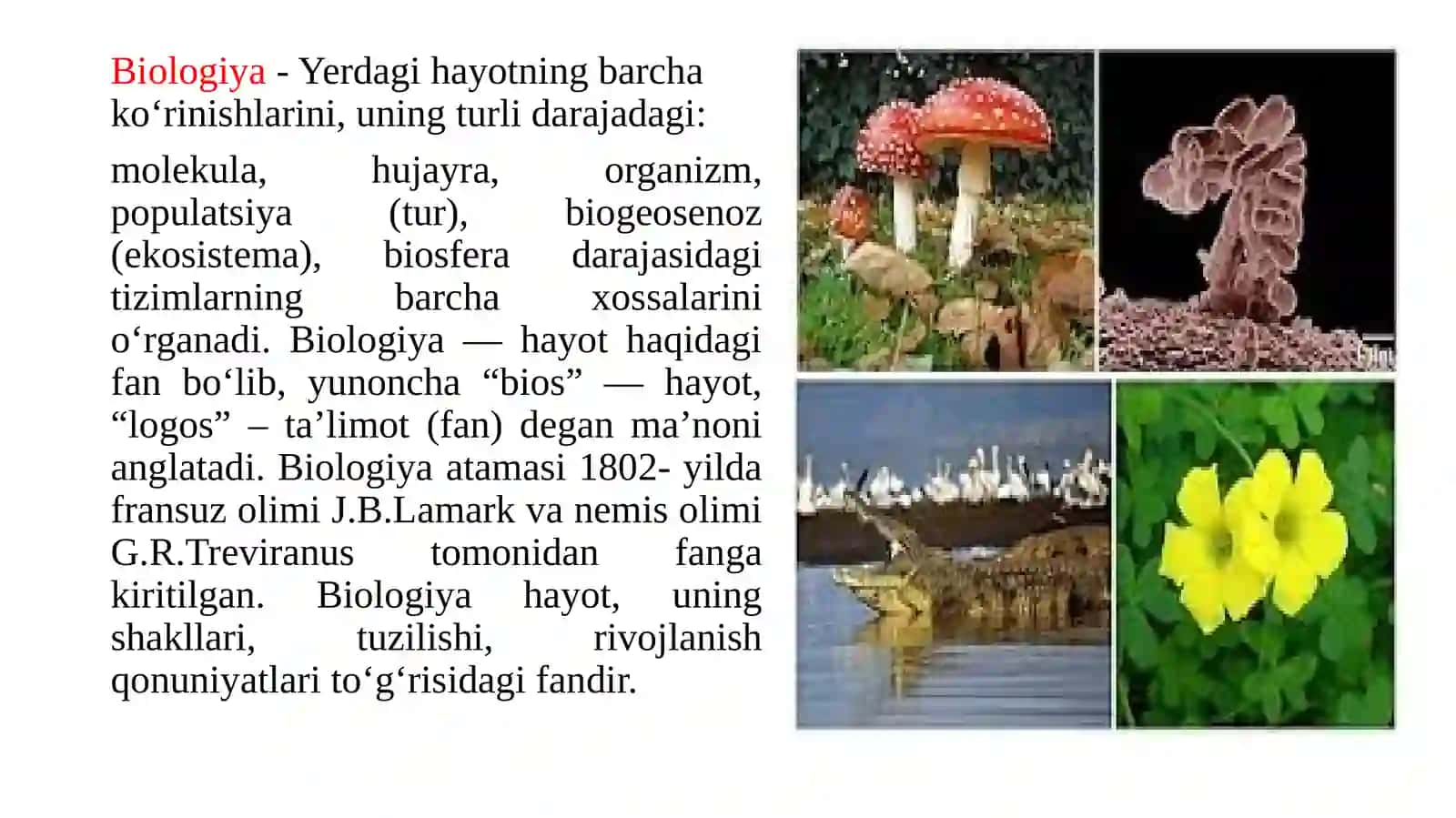 biologiya 3