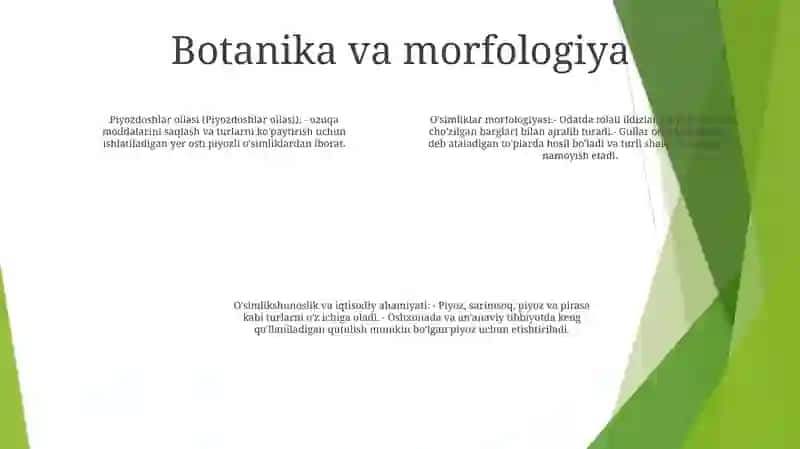 Piyozdoshlar Oilasi 3