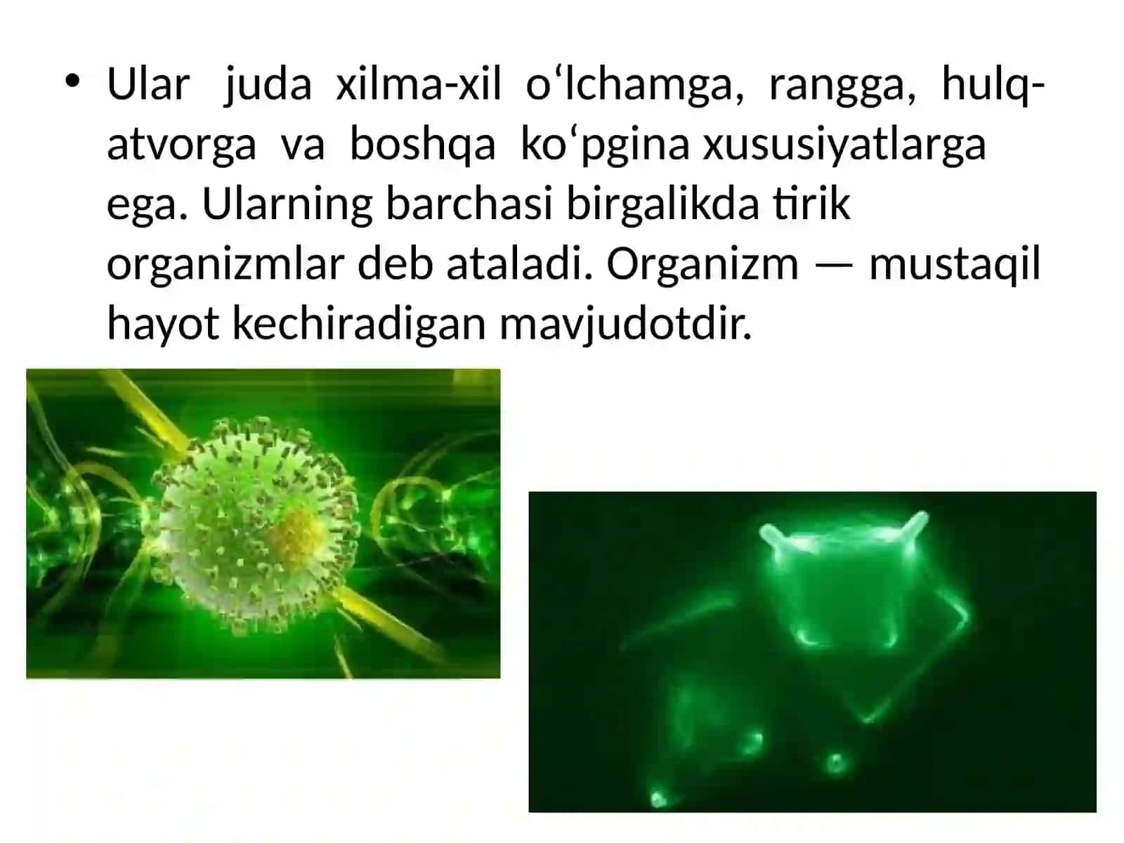 §.Tirik organizmlarning o‘ziga xos xususiyatlari 3