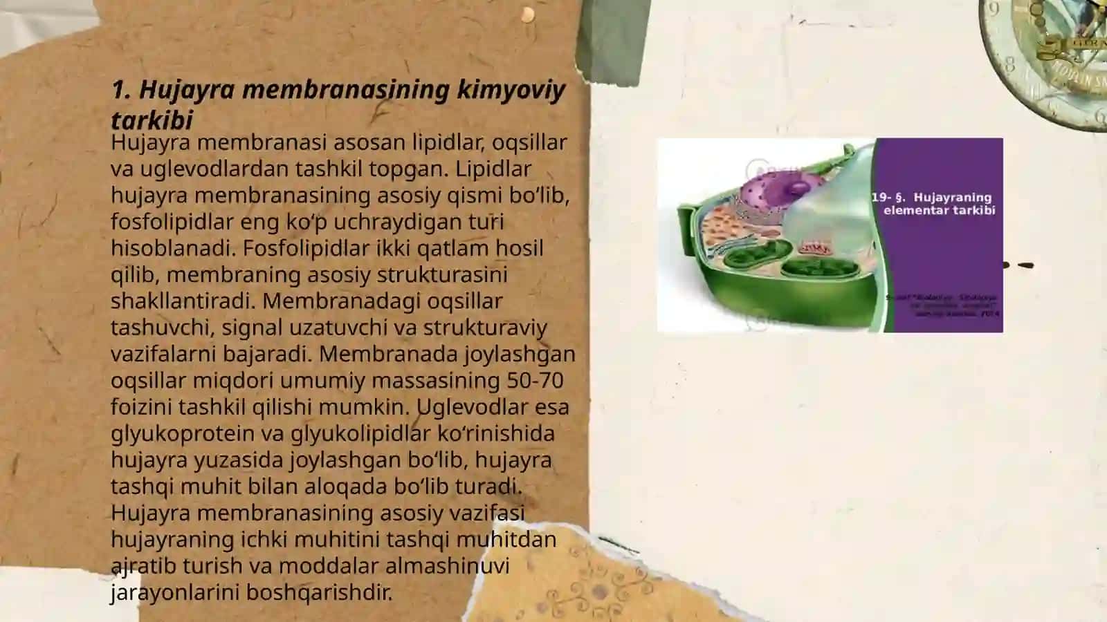 Hujayraning kimyoviy tarkibi 3