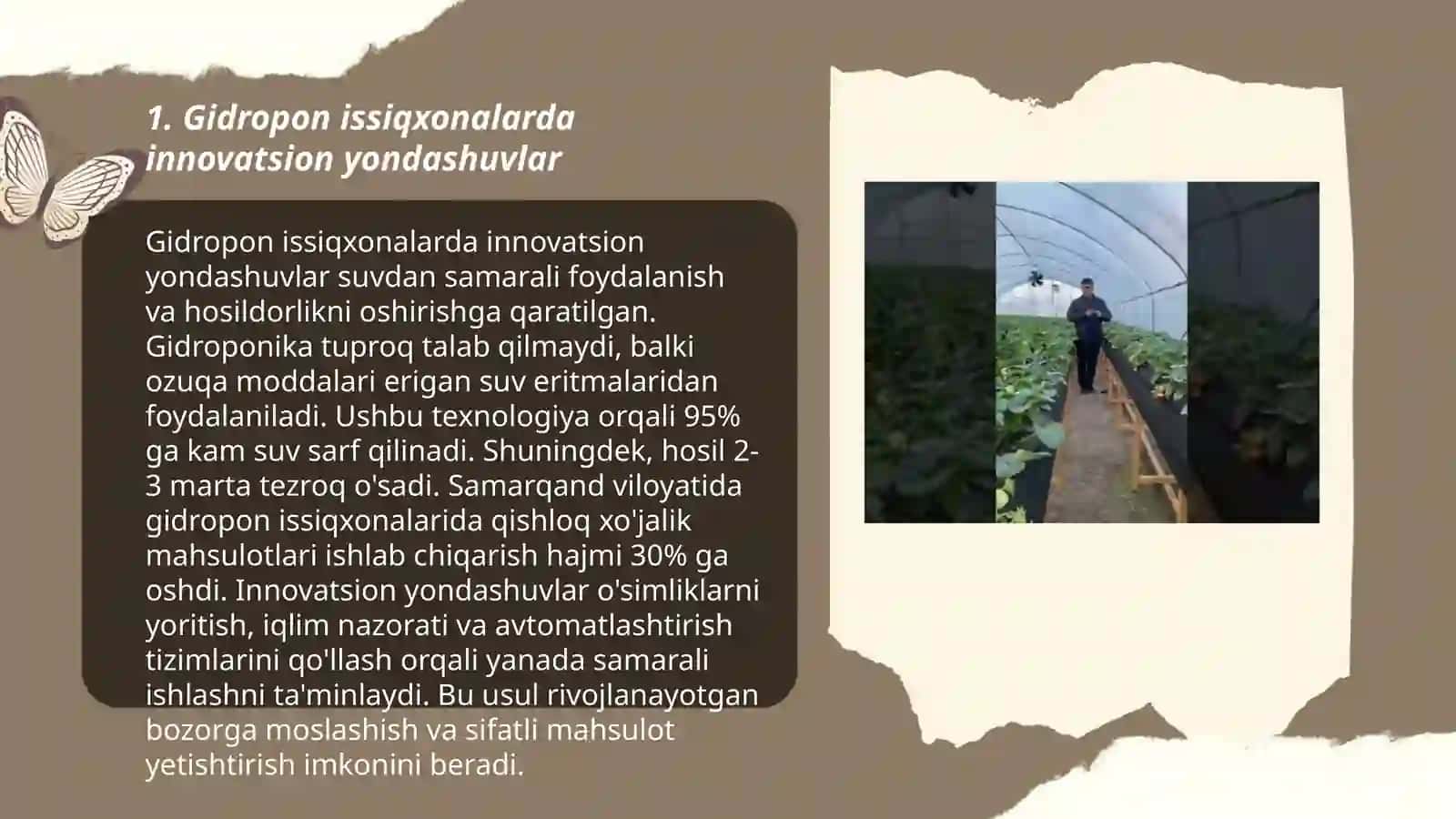 Zamonaviy gidropon issiqxonalarda ekinni parvarishlashda servis hizmat 3