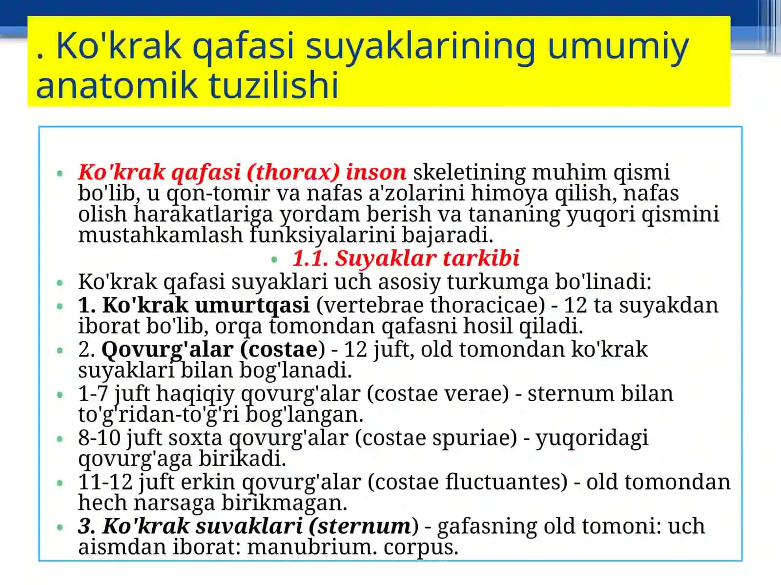 Ko'krak qafasi suyaklarining tuzilishi 3