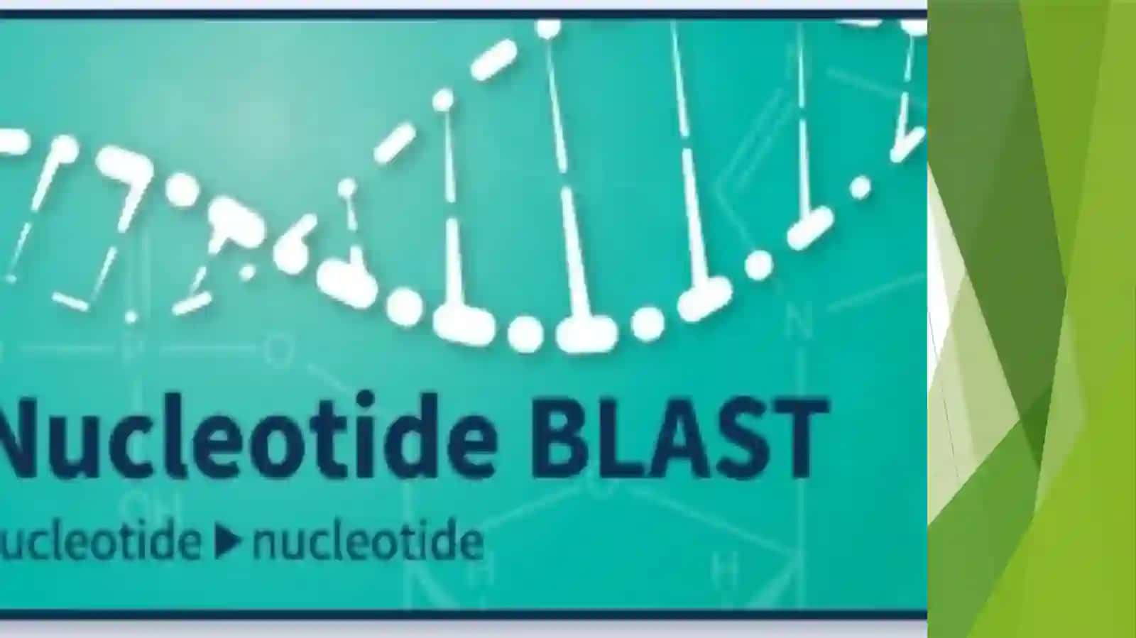 BLAST dasturi 3