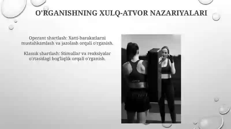 Talim jarayonining qonunyatlari va tamoyillari 3