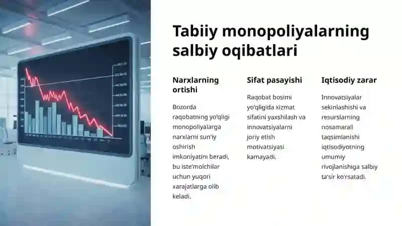 Tabiiy Monopoliyalar 3