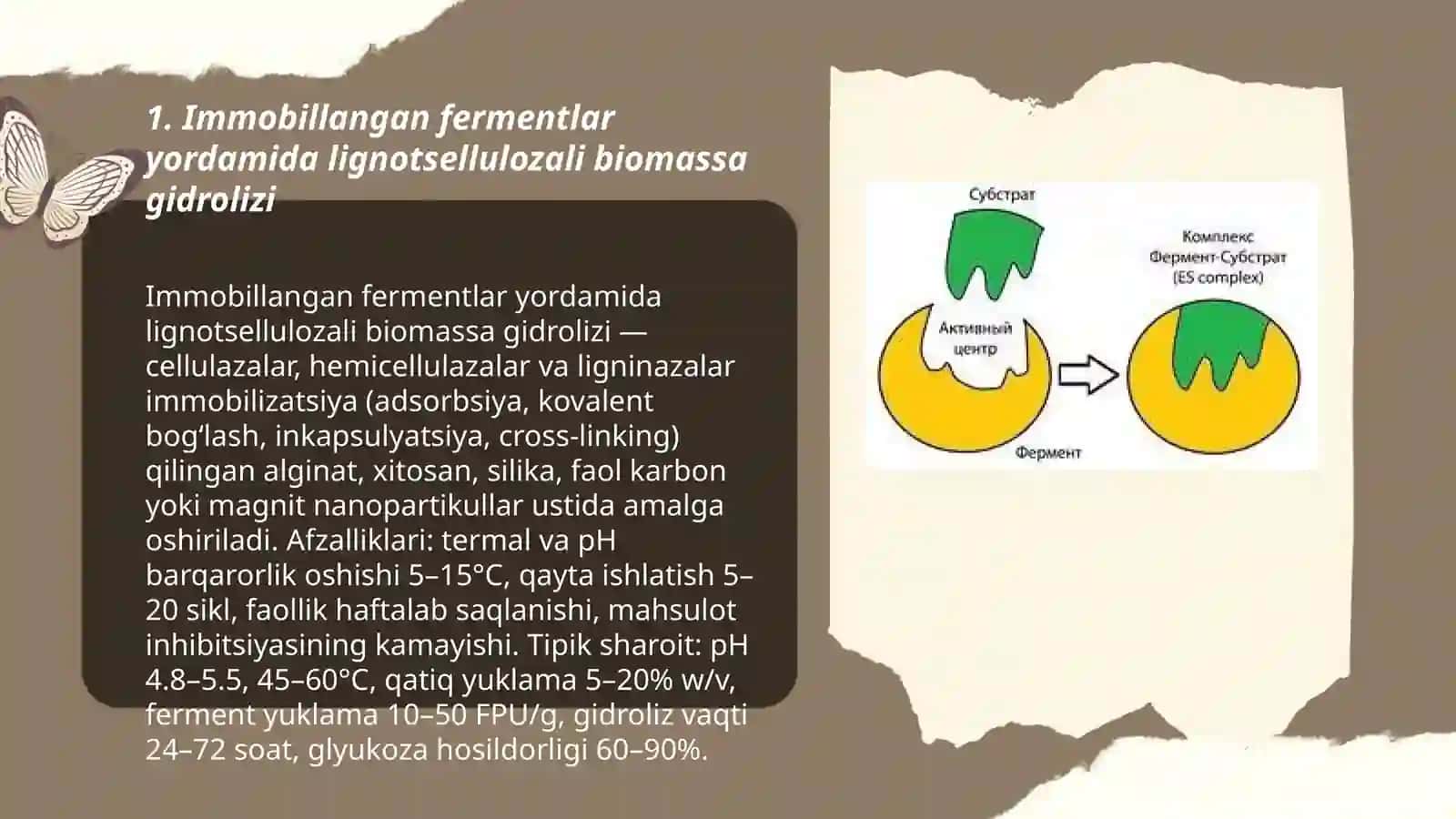 Immobillangan fermentlar ishtirokida bioyoqilg‘i olish 3