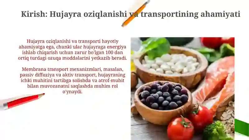 Ularning hujayradagi oziqlanish va transportdagi roli boʻyicha klassifikatsiyasi 3