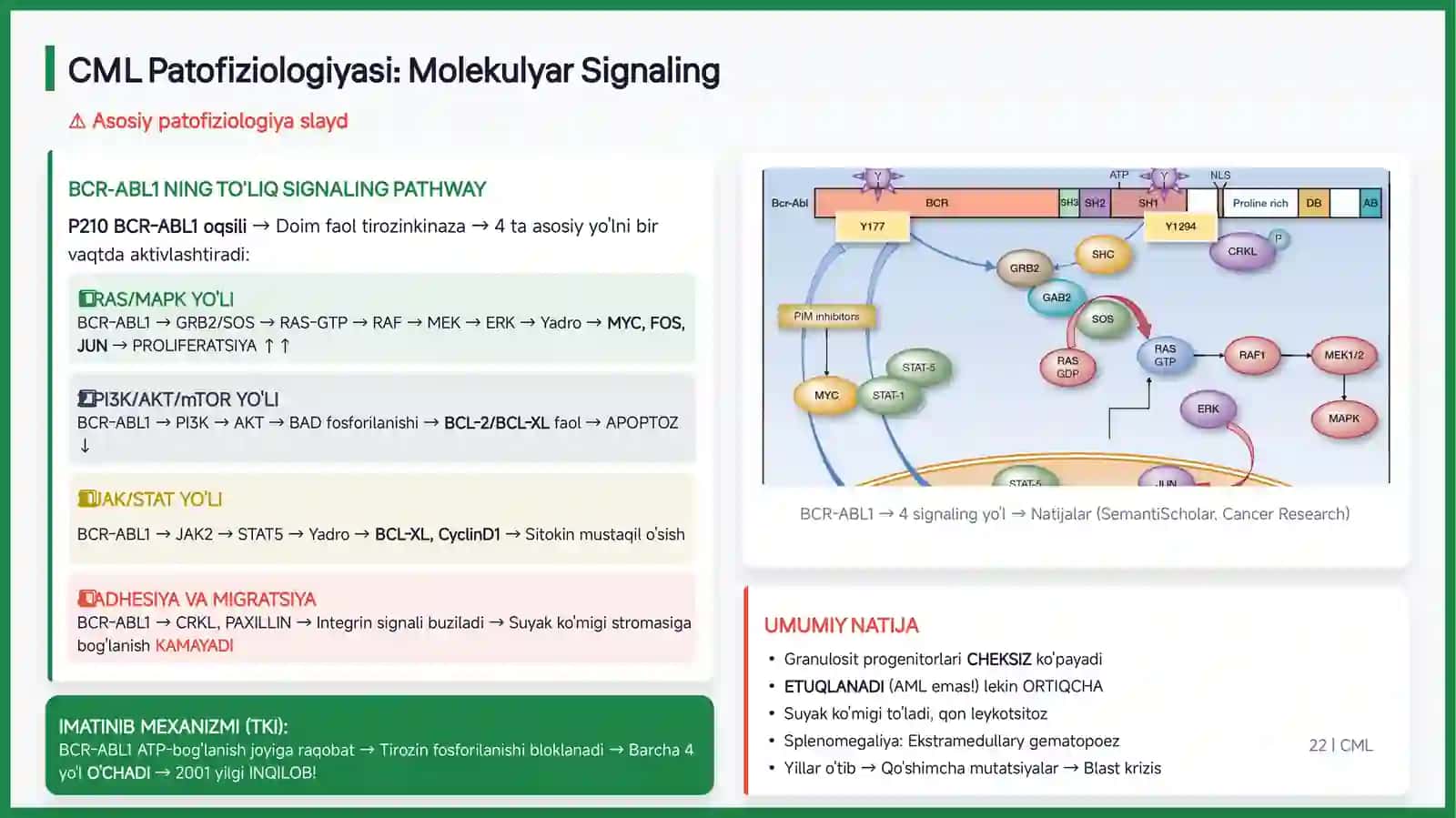 surunkali myeloid va leykoid leukemia 3
