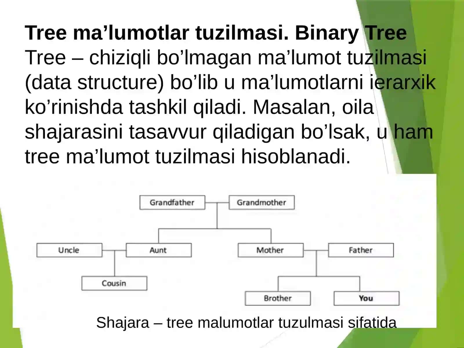 Бинар Дарахтлар 3