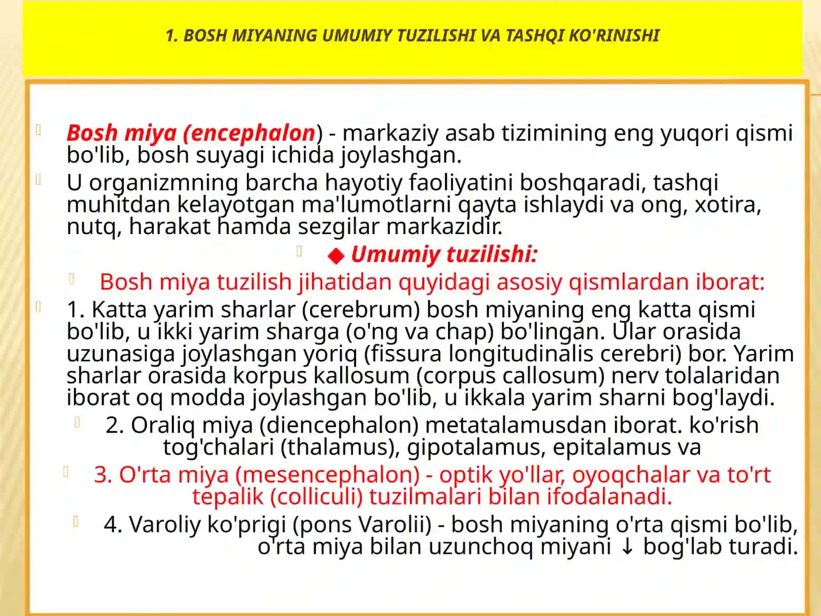 12 juft boshmiya nervlari 3