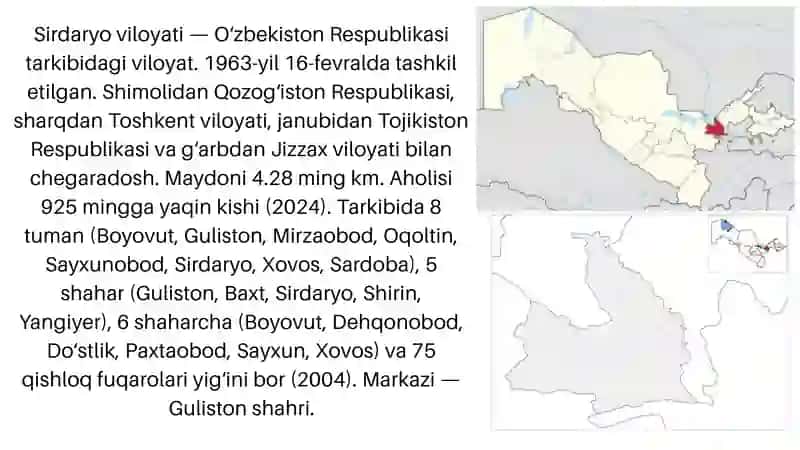 SIRDARYO VILOYATNING SWOT TAHLILI 3